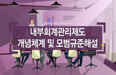 실무자를 위한 감사대비전략-내부회계관리제도 개념체계 및 모범규준해설